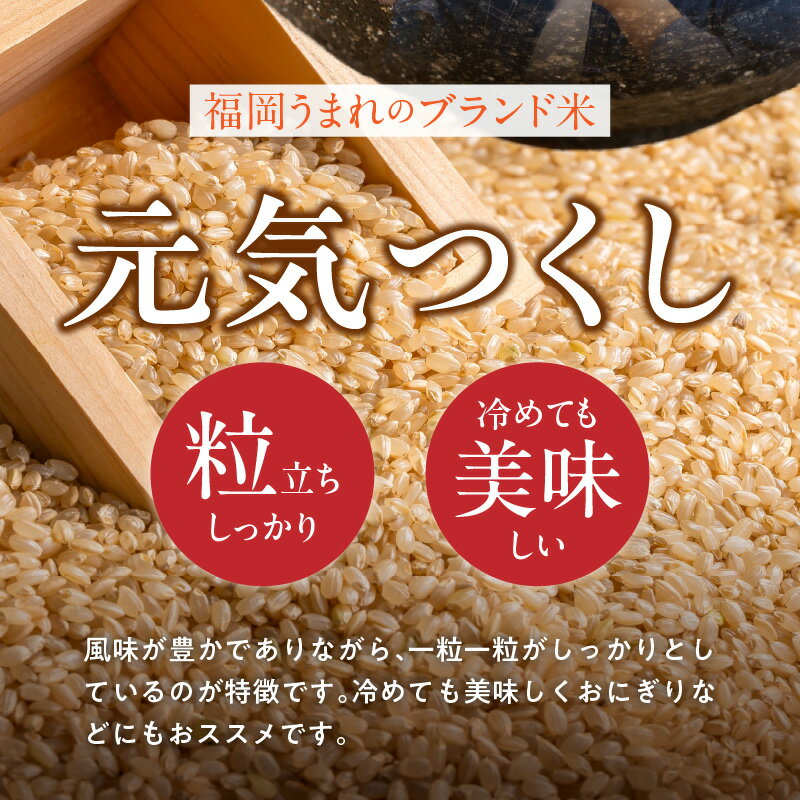 福岡県久留米市の画像3