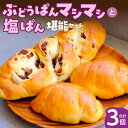 【ふるさと納税】ぶどうぱん 専門店 ぶどぱん 堪能 セット ぶどうぱん 1個 370g前後 塩ぱん × 2個 1個あたり70g前後 レーズン マシマシ しっとり...