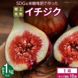 【ふるさと納税】価格改定 SDGs米糠堆肥で作った樹上完熟イチジク　訳あり品1キロ以上サイズ混合18個