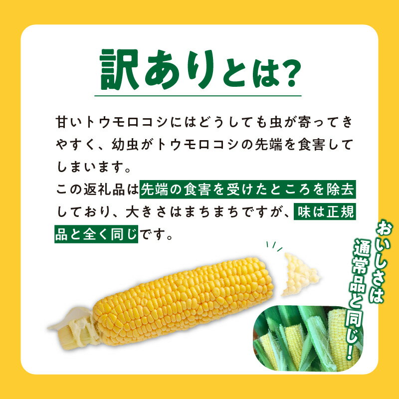 【ふるさと納税】とうもろこし 4.5kg 約 12本 ～ 20本 メロンより甘い 博多あまっコーン 久留米産 おおもの ご家庭用 訳あり プレミアムコーン 甘い 平均糖度 20度 冷蔵配送 旬の味 野菜 コーン 酒見農産 お取り寄せ 福岡県 久留米市 送料無料