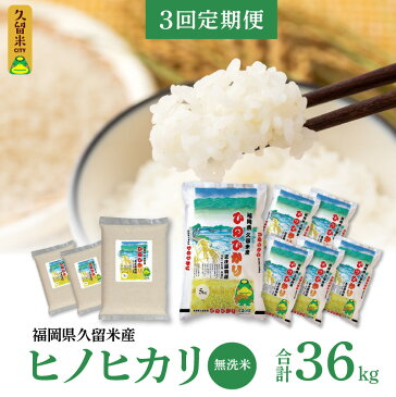 【ふるさと納税】米 ヒノヒカリ 定期便 3回 計36kg 無洗米 12kg×3回 九州 福岡 久留米 ごはん おにぎり 食べ物 食品 主食 弁当 お手軽 時短 味 香り 粘りツヤ 甘さ 手間いらず お取り寄せ 国産 備蓄米 非常用 送料無料