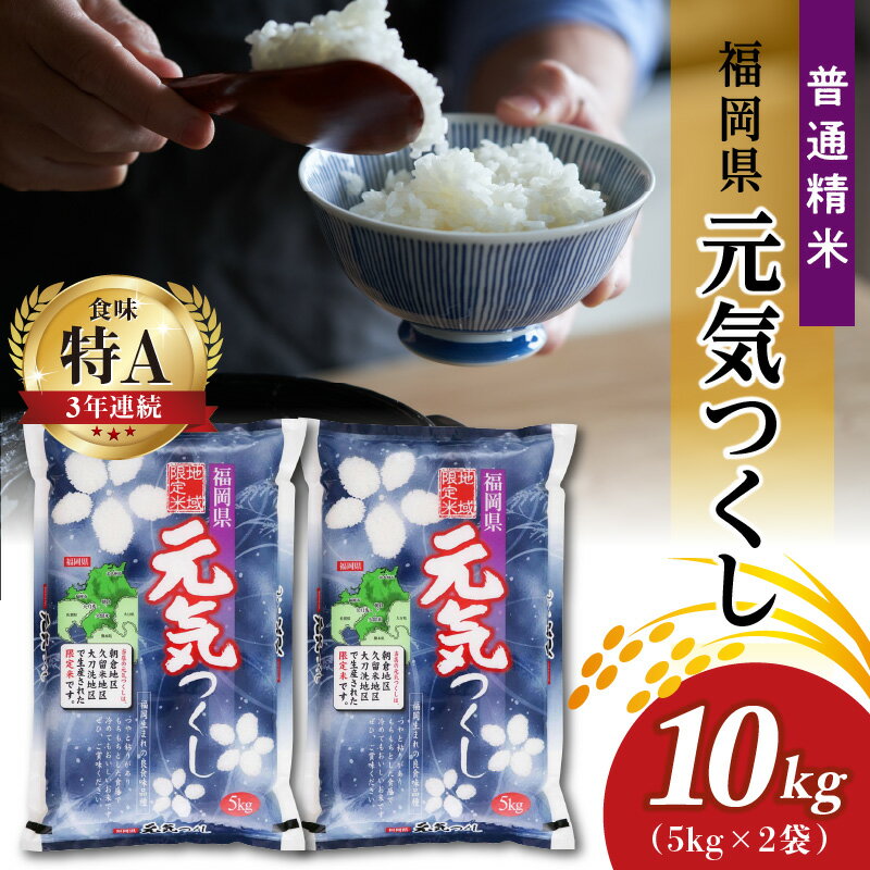 米 お米 普通 精米 地域限定米 令和5年産 元気つくし 10kg 5kg×2 国産 冷めても おいしい ふっくら ご飯 おにぎり 食品 酒見糧穀 お取り寄せ お取り寄せグルメ 福岡県 久留米市 送料無料