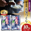 【ふるさと納税】米 お米 普通 精米 地域限定米 令和5年産 元気つくし 10kg 5kg×2 国産 冷めても おいしい ふっくら ご飯 おにぎり 食品 酒見糧穀 お取り寄せ お取り寄せグルメ 福岡県 久留米市 送料無料