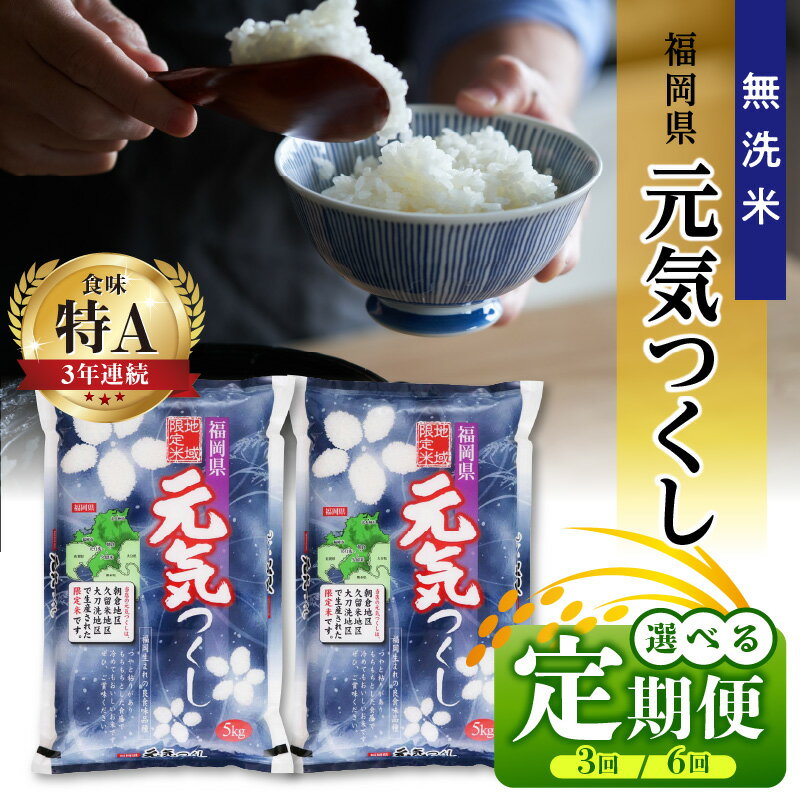 【ふるさと納税】価格改定 定期便 お米 令和5年産 5kg × 2袋 福岡県産 無洗米 元気つくし 地域限定米 中粒 しっかりとした粘り気 もちもちとした食感 人気のブランド 米 精米 白米 ご飯 おにぎり 酒見糧穀 お取り寄せ 福岡県 久留米市 送料無料