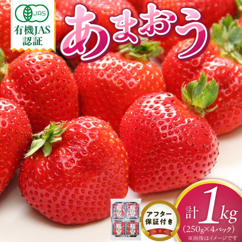 有機 あまおう 250g 4パック 計 1000g 有機JAS認証 オーガニック いちご ストロベリー 特別栽培 認証 アフター保証付き 安心 安全 やさしい甘み 香り ジューシー 果物 果汁 フルーツ スイーツ デザート 冷蔵 お取り寄せ 福岡県 久留米市 送料無料