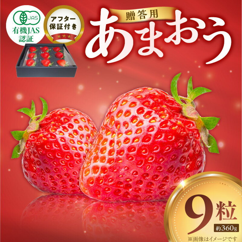 贈答用 有機 あまおう ギフト用 9粒 約 360g 有機JAS認証 オーガニック いちご ストロベリー 特別栽培 認証 アフター保証付き 安心 安全 上品な甘さ 艶 ジューシー 果物 果汁 フルーツ スイーツ デザート 冷蔵 贈り物 お取り寄せ 福岡県 久留米市 送料無料