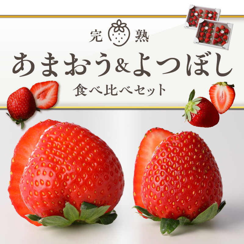 【ふるさと納税】イチゴ あまおう よつぼし 食べ比べ セット 完熟 期間限定 各 250g 2パック 計4パック 計 1kg 特別栽培 福岡エコ農産物 安心 安全 大粒 冷蔵 特殊トレー ゆりかーご 贈り物 フルーツ 果物 スイーツ 国産 お取り寄せ 福岡県 久留米市 送料無料