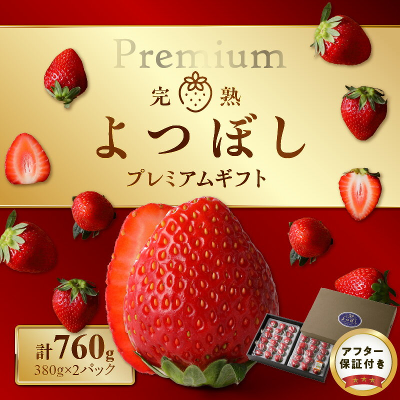 【ふるさと納税】イチゴ 完熟 よつぼし プレミアム ギフト 