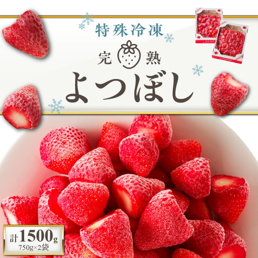 【ふるさと納税】いちご 特殊冷凍 よつぼし 1.5kg 750g × 2 旬 美味しい 完熟 甘い 濃厚 アートロックフリーザー サクサク 食感 栄養 池田農園 フルーツ スムージー おやつ スイーツ 冷凍 お取り寄せ お取り寄せフルーツ 食べ物 福岡県 久留米市 送料無料 【ふるさと納税】いちご 特殊冷凍 よつぼし 1.5kg 750g × 2 旬 美味しい 完熟 甘い 濃厚 アートロックフリーザー サクサク 食感 栄養 池田農園 フルーツ スムージー おやつ スイーツ 冷凍 お取り寄せ お取り寄せフルーツ 食べ物 福岡県 久留米市 送料無料