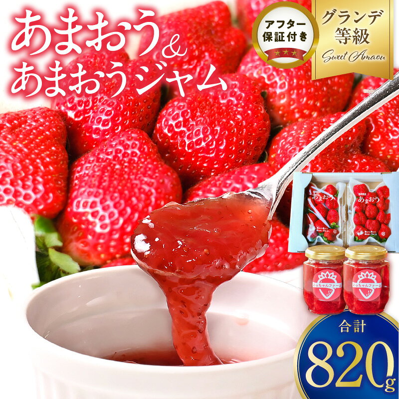 いちご満喫 あまおう2パック&あまおうジャム2瓶のセット 1月から発送 約270g×2パック 約140g×2瓶 土耕栽培 本格ジャム よっちゃんファーム あまおう あまおうジャム グランデ 大粒 久留米市 グルメ お取り寄せ 送料無料