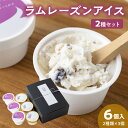 【ふるさと納税】ラムレーズン アイス 6個 セット 2種 x 各 3ヶ 国産干しぶどう ジャージーミルク ラムレーズンアイス ミルクアイス アイスクリーム スイ...