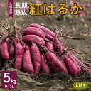 さつまいも 久留米市産 長期熟成 紅はるか 5kg M ～ 2L サイズ 土付き 栽培期間中農薬不使用 熟成 甘い 美味しい おやつ スイーツ 常温発送 国産 九州 福岡県 久留米市 お取り寄せ お取り寄せグルメ 送料無料