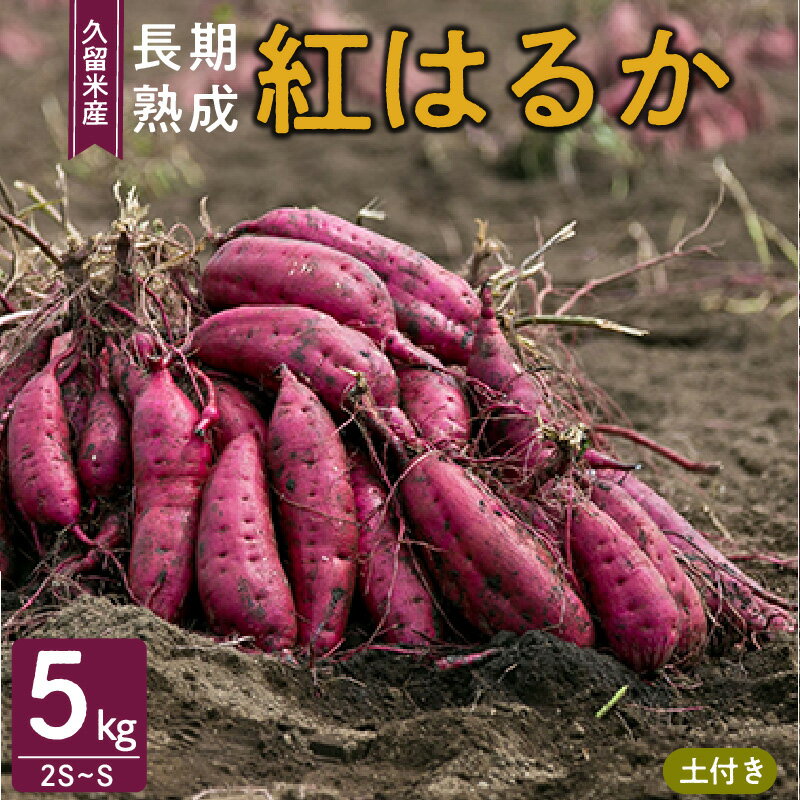 【ふるさと納税】さつまいも 久留米市産 長期熟成 紅はるか 5kg 2S～S サイズ 土付き 栽培期間中農薬不使用 熟成 甘い 美味しい おやつ スイーツ 常温発送 国産 九州 福岡県 久留米市 お取り寄せ お取り寄せグルメ 送料無料