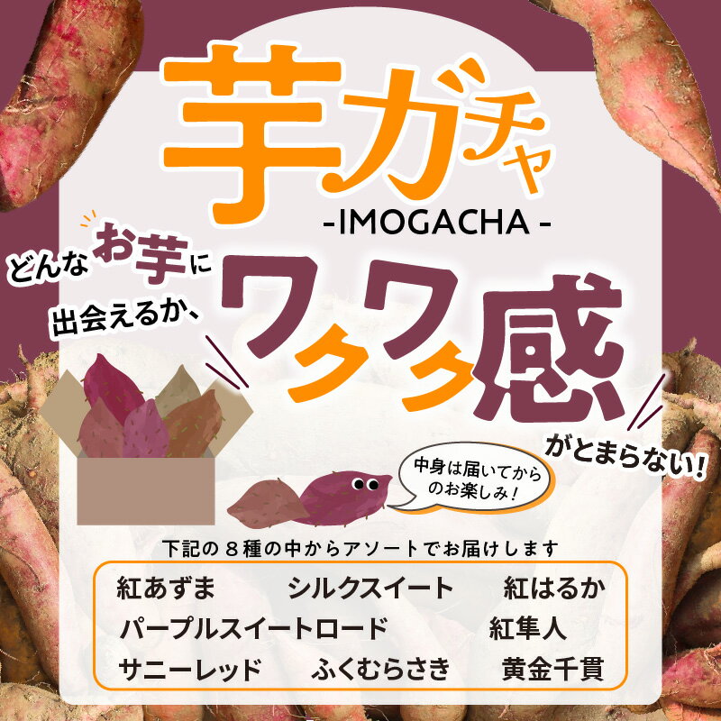 【ふるさと納税】【訳あり】久留米市産 さつまいも 3kg 芋ガチャ 栽培期間中農薬不使用 熟成 甘い 美味しい おやつ スイーツ バラエティ 常温発送 国産 九州 福岡県 久留米市 お取り寄せ お取り寄せグルメ 送料無料