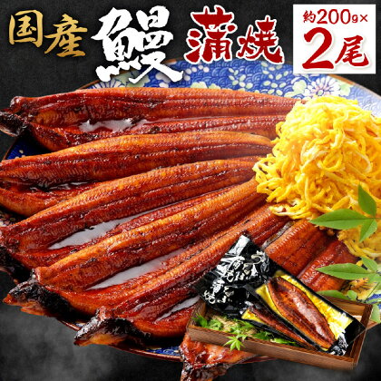 国産 鰻 蒲焼 200g 2尾