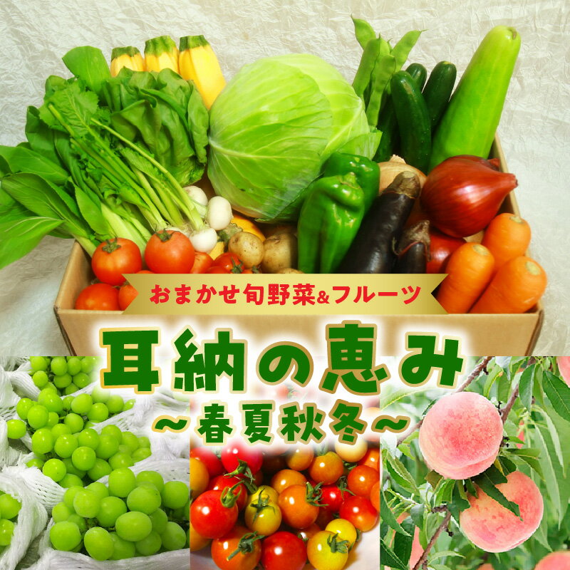 【ふるさと納税】旬 野菜 フルーツ おまかせ セット 2ケー