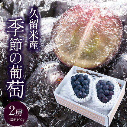 価格改定 久留米産 季節の葡萄2房