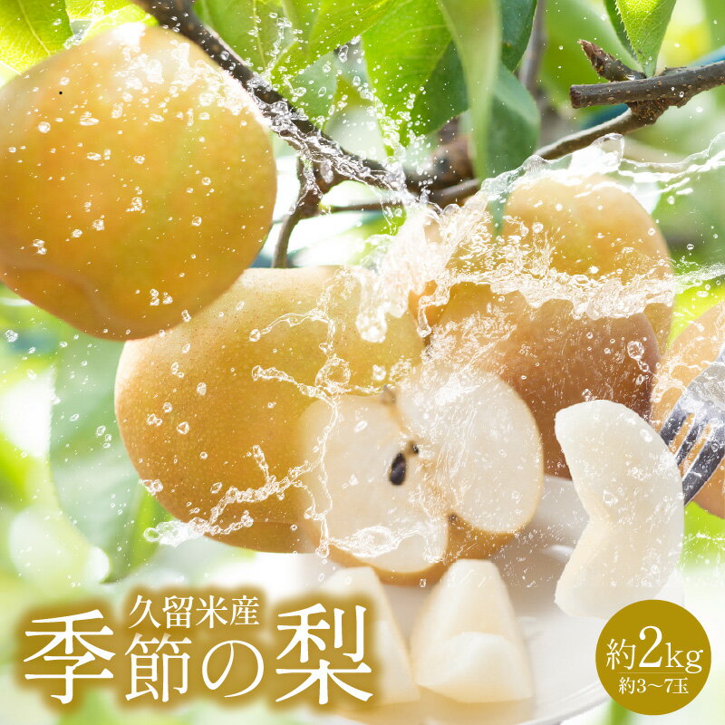 【ふるさと納税】久留米産 季節の梨（約2Kg）
