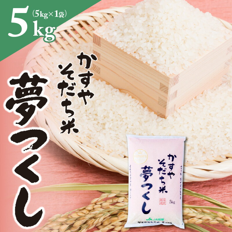 米 お米 精米 福岡 限定生産 夢つくし 5kg ご飯 白米 おにぎり お弁当 食品 ふっくら 甘い 粒がしっかり 福岡産 南国フルーツ株式会社 お取り寄せ お取り寄せグルメ 福岡県 久留米市 送料無料