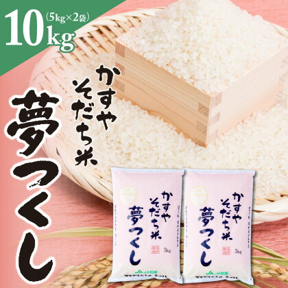 価格改定 米 お米 精米 福岡 限定生産 夢つくし 10kg 5kg×2 白米 ご飯 おにぎり 食品 ふっくら 甘い 粒がしっかり 南国フルーツ株式会社 お取り寄せ お取り寄せグルメ 福岡県 久留米市 送料無料