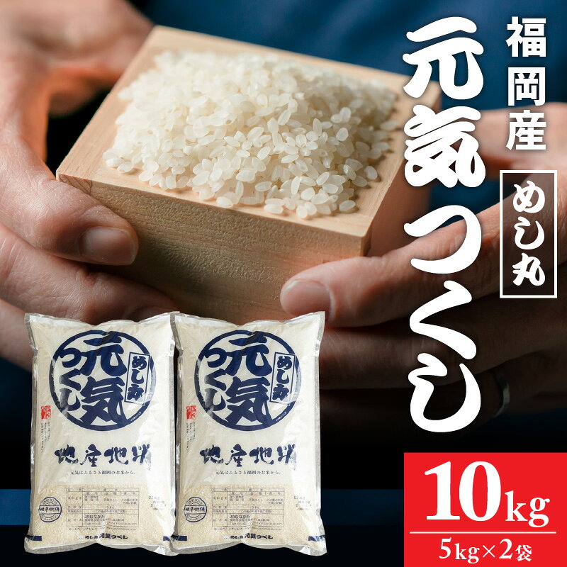 【ふるさと納税】米 めし丸 元気つくし 10kg 5kg × 2袋 国産 お米 精米 白米 冷めても おいしい ご飯 おにぎり 弁当 おすすめ 暑さ 強い 元気 育つ 10年 開発 主食 食品 お取り寄せ お取り寄せグルメ ご当地 福岡県 久留米市 送料無料