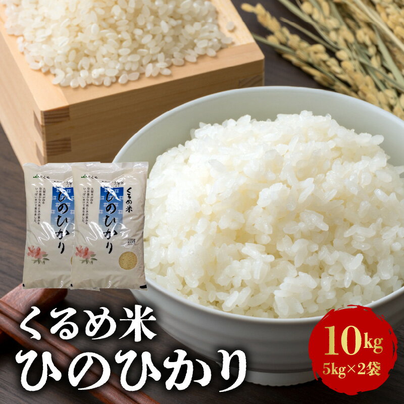 米 お米 5kg × 2袋 2023年度 令和5年産 特別栽培米 くるめ米 計 10kg 安全 安心 ご飯 おにぎり お弁当 食品 久留米市農業協同組合 完熟堆肥での土づくり お取り寄せ お取り寄せグルメ 福岡県 久留米市 送料無料