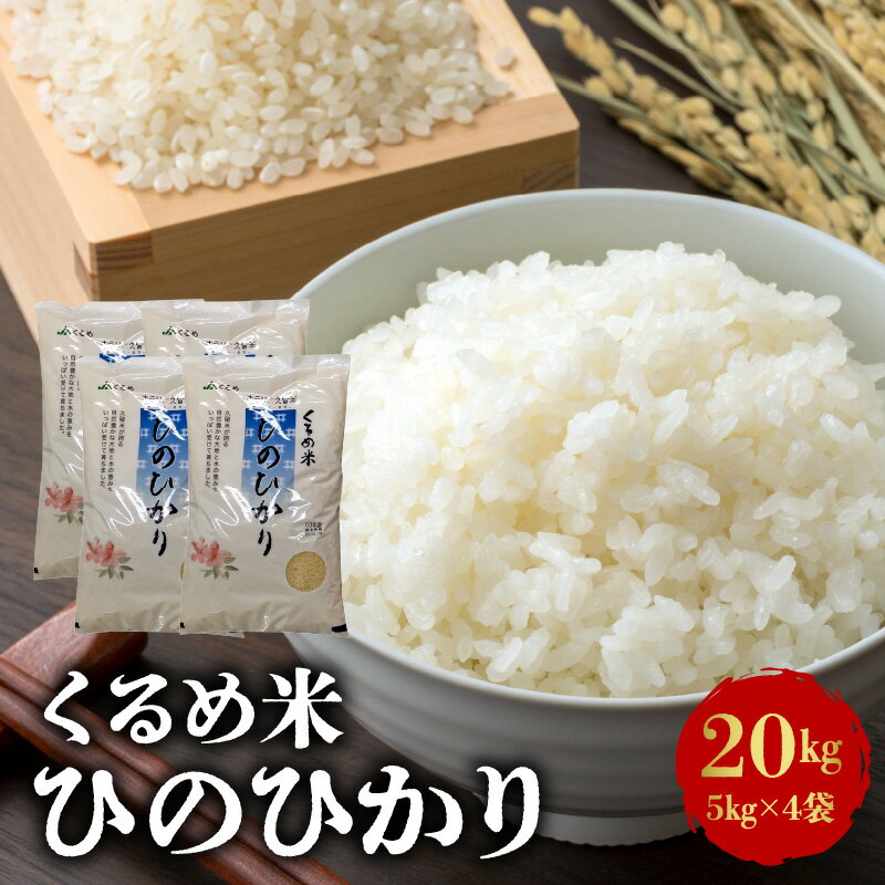 【ふるさと納税】価格改定 米 お米 20kg 5kg × 4袋 2023年度 令和5年産 くるめ米 ひのひかり ご飯 おにぎり お弁当 食品 久留米市農業協同組合 自然豊かな大地 水の恵み お取り寄せ お取り寄せグルメ 福岡県 久留米市 送料無料