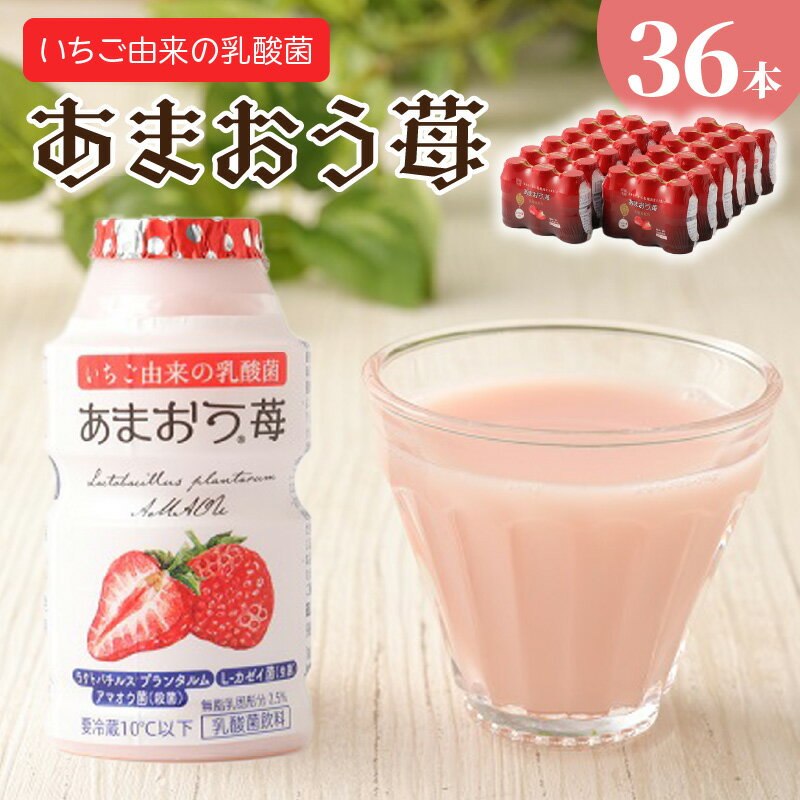 【ふるさと納税】乳酸菌あまおう苺3P