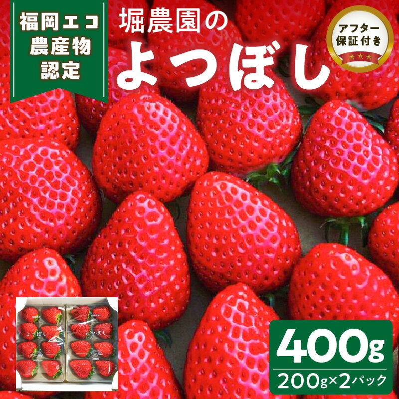【ふるさと納税】 エコ農産物認定 堀農園 よつぼし 200g × 2パック 計 400g 完熟 食べ頃 いちご チルド便 適度 食感 酸味 強くない 豊か 風味 広がる バランス 四つ星級 お取り寄せ 福岡県 久留米市 送料無料