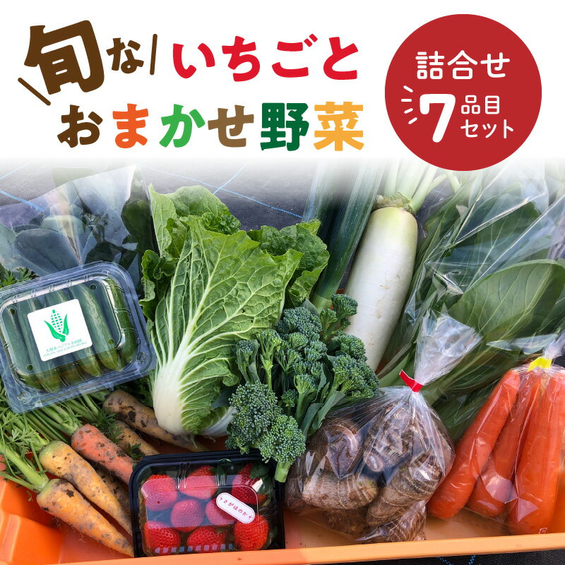 返礼品説明 名称 【ふるさと納税】旬ないちごとおまかせ野菜詰合せ7品目セット 内容量 いちご1パック（約250g）とおまかせ野菜　(玉ねぎ　人参　大根　カブ　サニーレタス　なす　キュウリ　トウモロコシ　ヤングコーン　ケール　赤水菜　パクチー　ピーマン　赤大根　サトイモ　さつまいも等の中から食べ頃のもの)　6品目 アレルギー ※アレルギー物質などの表示につきましては、久留米市ふるさと納税サポート室までご連絡ください。 原材料 玉ねぎ・人参・大根・カブ・サニーレタス・なす・キュウリ・トウモロコシ・ヤングコーン・ケール・赤水菜・パクチー・ピーマン・赤大根・サトイモ・さつまいも・いちご等 配送温度帯 冷蔵 消費期限 3日〜4日 返礼品到着後、野菜ルーム(10℃以下)、または7〜15℃の常温で風通しの良い冷暗所で保存し、出来るだけお早めにお召し上がり下さい。 説明 珍しい色の野菜やミニサイズでかわいい野菜等と、よつぼし、あまおう、さがほのかのいちご3品種の中からその時期に一番美味しい品種をお届けします。 一期3品種とも福岡のエコ認証取得。 天敵利用と微生物、酵素資材で栽培しています。 珍しいだけじゃなくて食味が特に良い品種をご自宅へお届けします。 注意事項 発送期日：12月1日〜4月30日までにお届けいたします。 ※天候等の影響で収穫量や収穫時期が変わり、発送が早くなったり遅れる場合がありますので、あらかじめご了承ください。 ※一部の野菜で、より新鮮さを維持するために泥付きで出荷しています。 提供事業者 亀井通産株式会社久留米営業所 ・寄附申込みのキャンセル、返礼品の変更・返品はできません。あらかじめご了承ください。・ふるさと納税よくある質問はこちら地場産品基準1号 区域内において生産されているため【ふるさと納税】旬ないちごとおまかせ野菜詰合せ7品目セット