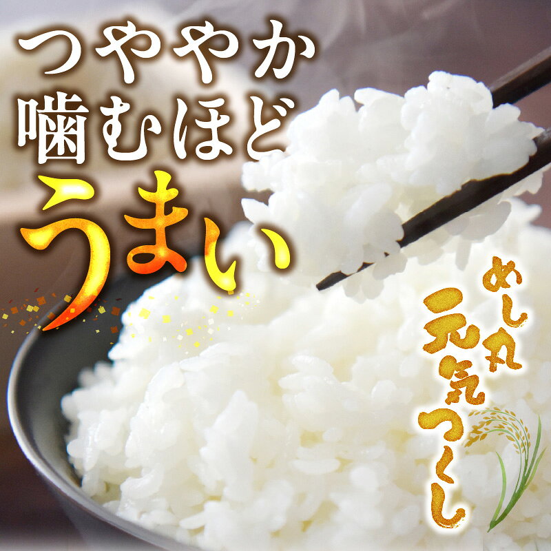 【ふるさと納税】令和7年産 無洗米 4年連続 特A 金のめし丸 元気つくし 5kg × 2袋 計 10kg 一粒一粒 しっかり つや 粘り 炊きたて 春夏秋冬 冷めても いつでも 美味しい 農産物検査 上位等級 国産 食品 食べ物 米 白米 精米 グルメ お取り寄せ 福岡県 久留米市 送料無料