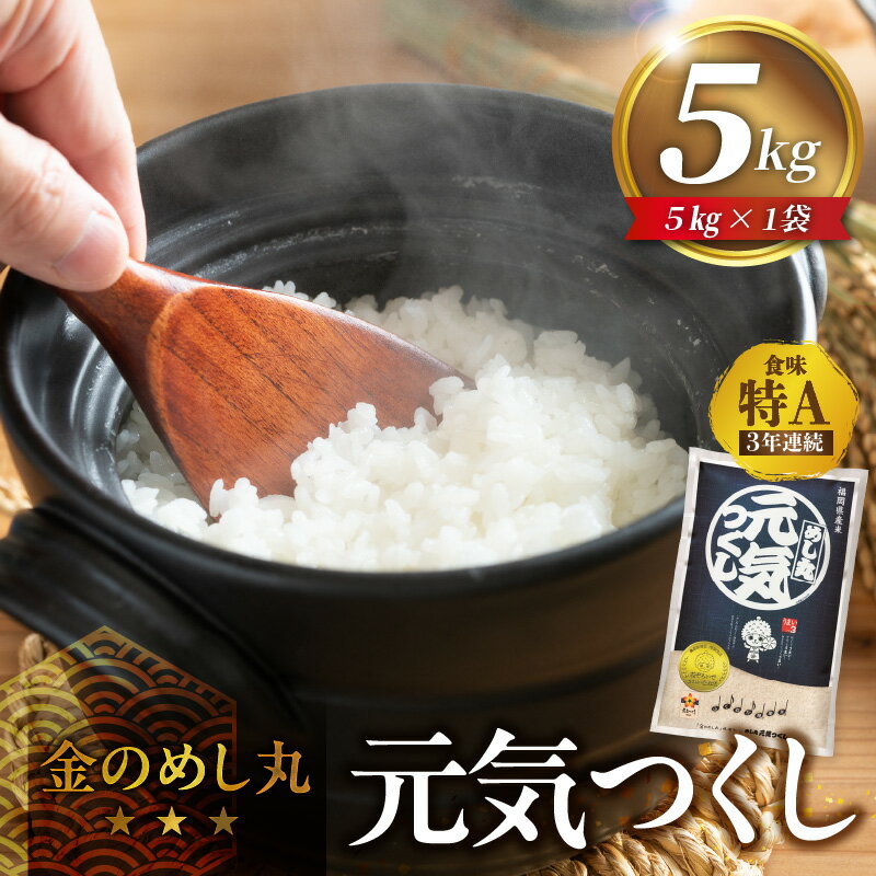 金のめし丸元気つくし 5kg 国産 白米 お米 元気つくし 金のめし丸 県産米 つや 粘り 冷めてもおいしい 安定した食味 精米 安心 おにぎり 食品 常温 森光商店 九州 福岡県 久留米市 お取り寄せ 送料無料