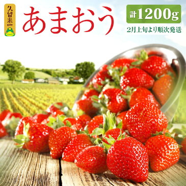 【ふるさと納税】≪予約≫ あまおう 300g×4パック 計1200g エコファーマー イチゴ いちご 苺 果物 くだもの フルーツ 福岡県産 九州 送料無料 ※2023年2月上旬より順次発送