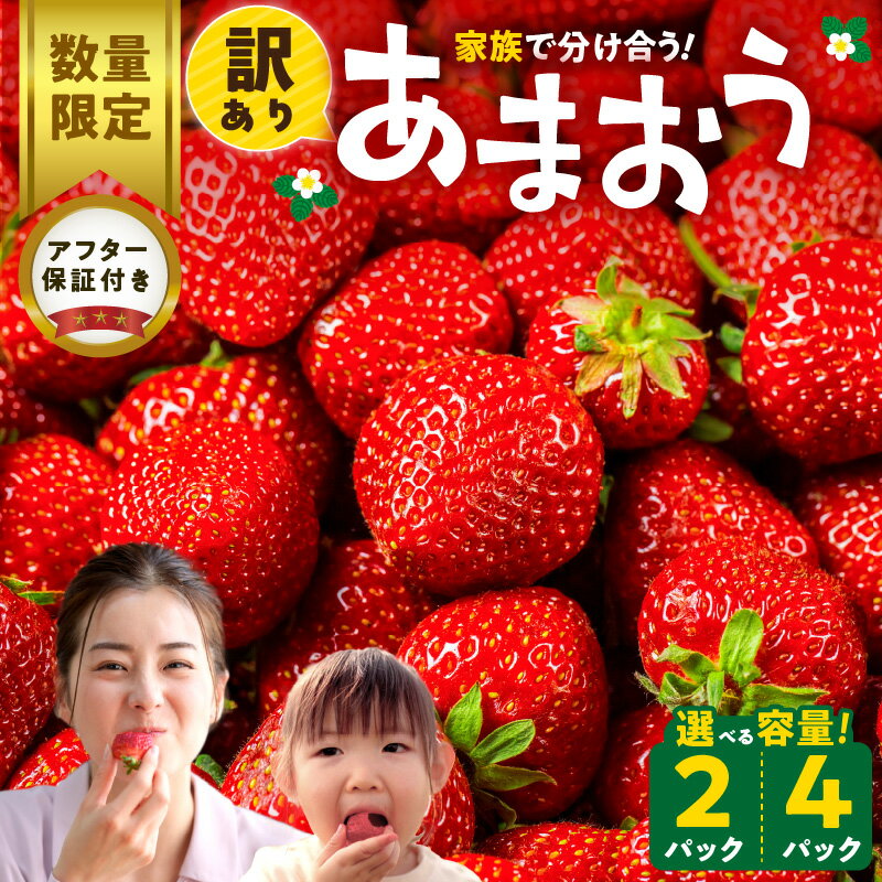 安いあまおう|訳ありなど!コスパが良くて人気の美味しい 安いあまおう|訳ありなど!コスパが良くて人気の美味しい