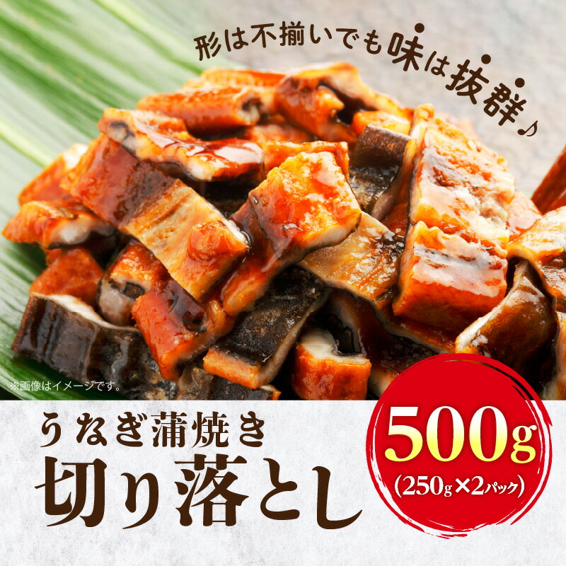 【ふるさと納税】うなぎ 蒲焼き 切り落とし 500g