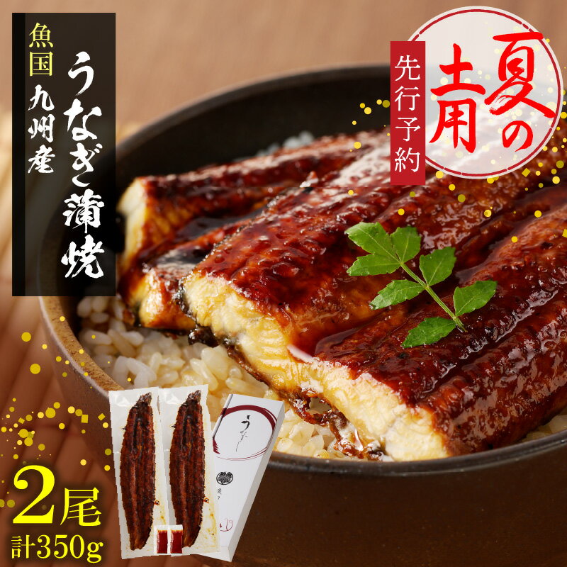 【ふるさと納税】【土用の丑の日】先行予約 国産うなぎ蒲焼 2尾 計約350g 九州産 ウナギ 最高級活鰻 鮮度 福岡県 久留米市 昭和47年創業 魚国 秘伝のタレ お取り寄せ お取り寄せグルメ 国産 食品 食べ物 冷凍 送料無料のサムネイル
