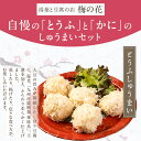 福岡県久留米市の画像3