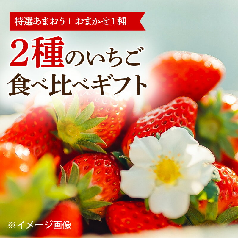 【ふるさと納税】いちご 特選 あまおう 約380g おまかせ 1種 約400g 計2種 食べ比べ 詰合せ ギフト フ...