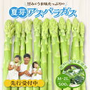 【ふるさと納税】先行予約 アスパラガス 夏芽 M ～ 2L 500g 甘い 太い やわらかい 肥料に八女茶使用 天ぷら フライ グリーンアスパラガス 夏アスパラ 冷蔵 お取り寄せ 野菜 福岡県 久留米市 送料無料