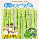 【ふるさと納税】先行予約 アスパラガス 夏芽 M ～ 2L 1kg 甘い 太い やわらかい 肥料に八女茶使用 天ぷら フライ グリーンアスパラガス 夏アスパラ 冷蔵 お取り寄せ 野菜 福岡県 久留米市 送料無料