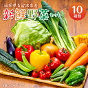 【ふるさと納税】福岡県 久留米市産 新鮮野菜 セット 10品目 旬の野菜 詰め合わせ 新鮮 野菜 水菜 小松菜 ほうれん草 アスパラ キャベツ オクラ レイシ トマト 胡瓜 ニラ 玉葱 インゲン 茄子 春菊 ブロッコリー 大根 久留米市 冷蔵 お取り寄せ 送料無料