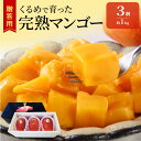 【ふるさと納税】【2026年6月以降お届け】贈答用 トロ~ッと口のなかでとろける くるめで育った 完熟マンゴー 3個 約 1kg 甘い 子供も安心 フルーツ 果物 マンゴー 完熟 国産 冷蔵 クール便 倉重農園 お取り寄せ 福岡県 久留米市 送料無料