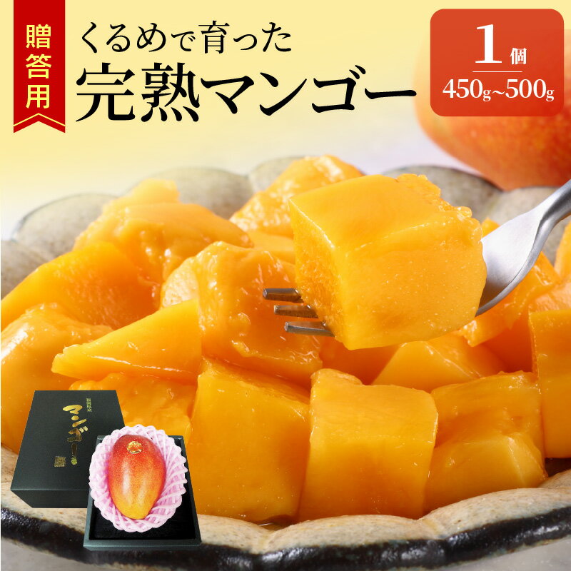 【ふるさと納税】先行予約 贈答用 くるめで育った 完熟マンゴー 1個 約 450g~500g 甘い 子供も安心 2024年 7月上旬から順次お届け トロピカル フルーツ 果物 マンゴー 国産 クール便 先行受付 贈答 ギフト 倉重農園 お取り寄せ 福岡県 久留米市 送料無料