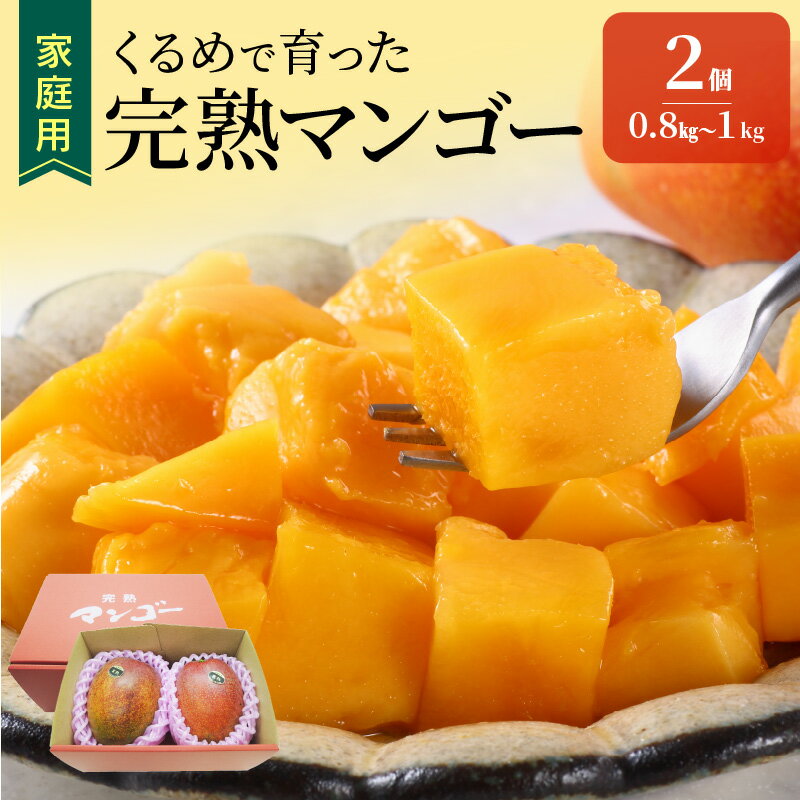 【ふるさと納税】【先行予約】 家庭用 くるめで育った 完熟マンゴー 2個 約0.8〜1kg 甘い 子供も安心 2025年 6月下旬から順次お届け 果物 果実 スイーツ デザート マンゴー 国産 クール便 倉重農園 お取り寄せ お取り寄せスイーツ 福岡県 久留米市 送料無料