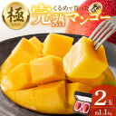 【ふるさと納税】【2026年6月以降お届け】完熟マンゴー 2玉 約 1.1kg 久留米産 平均糖度 17度~18度 完熟 マンゴー 国産 フルーツ トロピカルフルーツ 果物 デザート 冷蔵 クール便 お取り寄せ お取り寄せフルーツ 福岡県 久留米市 送料無料