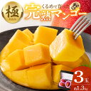 【ふるさと納税】【2026年6月以降お届け】完熟マンゴー 3玉 約 1.3kg 久留米産 平均糖度 17度~18度 完熟 マンゴー 国産 フルーツ トロピカルフルーツ 果物 デザート 冷蔵 クール便 お取り寄せ お取り寄せフルーツ 福岡県 久留米市 送料無料