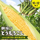 23位! 口コミ数「0件」評価「0」朝採りとうもろこし【品種：恵味スター】