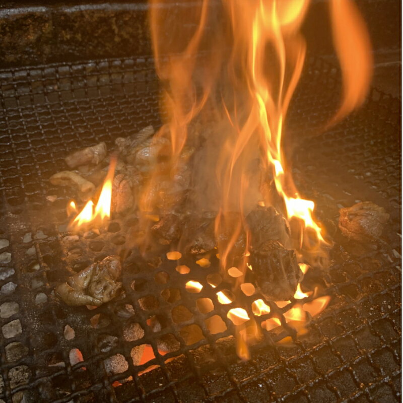 【ふるさと納税】味味どり本格炭火焼 3