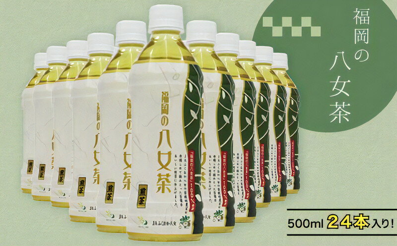 【ふるさと納税】福岡の八女茶煎茶ペットボトル500ml×24本