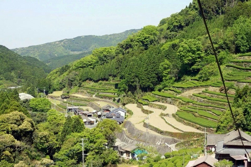 【ふるさと納税】上煎茶 白折 三十四代 太郎五郎久家茶園 100g × 4袋 普段使い 煎茶 香り高い さっぱり 渋味 食事 相性抜群 こだわり 露地栽培 職人 味 こだわり カテキン ポリフェノール 八女茶 緑茶 お茶 日本茶 お取り寄せ ご当地茶 福岡県 久留米市 送料無料